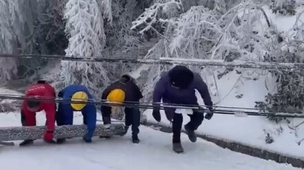 هذا... ما أتعس الكلب!