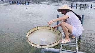 Đầm tôm thẻ chân trắng nuôi Công nghiệp của ÁNH KUA