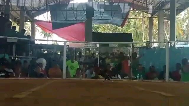 Old Possum Sweater|RJB GF