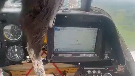 وجبة إضافية الليلة!!