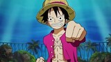 Luffy met his apprentice in the New World. He learned Armament Haki after two years of absence.