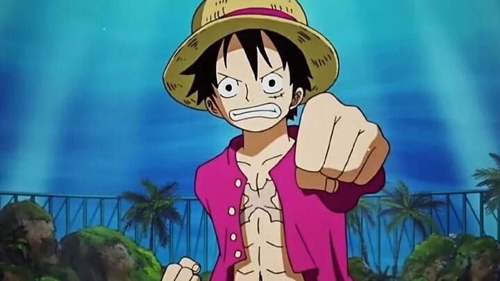 Luffy met his apprentice in the New World. He learned Armament Haki after two years of absence.