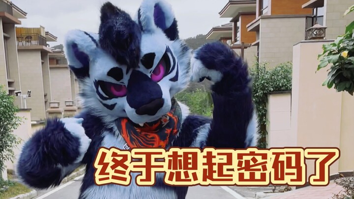 2023年珀魄终于想起自己的密码了！