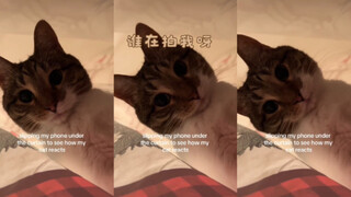 Who's taking my picture?🥺