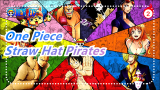 [One Piece] Straw Hat Pirates' Emotional Scenes, It's So Touching_2