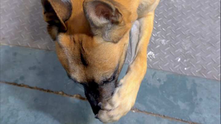 เปิดโหมดขั้นสูง