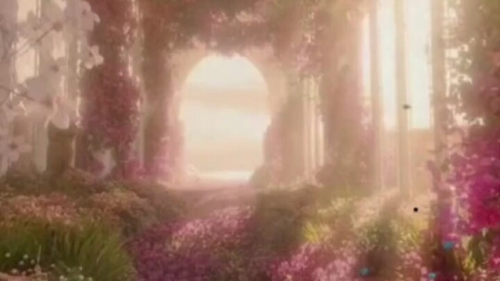 Dreamed of a Truly Magical Place