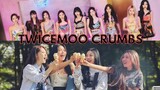 TWICEMOO CRUMBS for every oncemoo out there