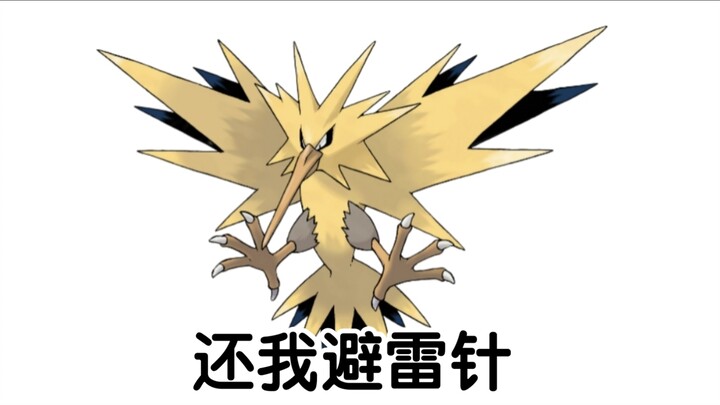 宝可梦大型纪录片—闪电鸟