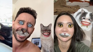After exchanging facial features with a cat, who says this cat is not funny? This cat is so funny ah