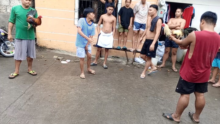 NO SCRATCH 2ND FIGHT NG GREY KO SOLID✅