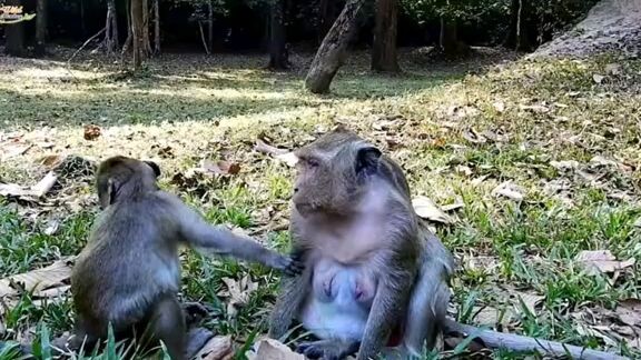 🤭🤭🤭🤭🤭🤭🤭🤭🤭🤭