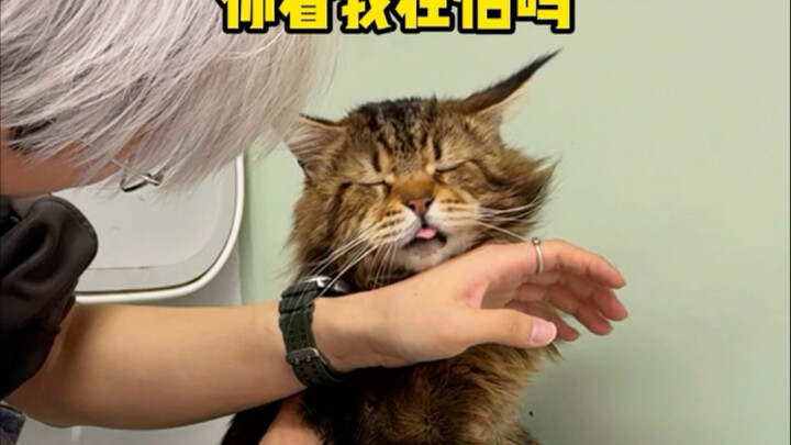 The giant beauty is here!