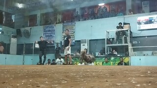 WIN @SMCA 08/09/25 PULA MAGULANG VS BULIK STAG (DEHADO SA LOOB AT LABAS)