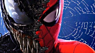 Tom Holland OFFICIALLY Comments On SONY Not Letting Spider-Man Back In The MCU