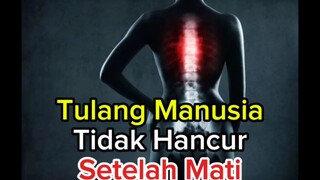 Tulang Manusia tidak Hancur setelah kematian