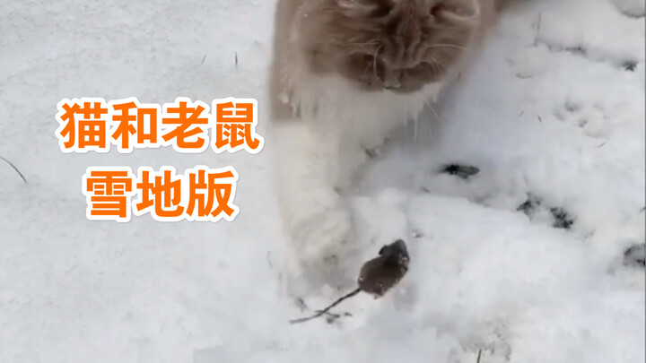 I was caught secretly raising mice...Since I got a cat, there are more and more mice in my house...