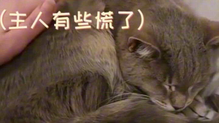 It really is a very sad… story #cat
