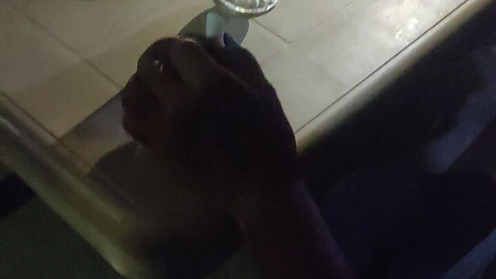 eksperement🤣🤣🤣🤣🤣🤣