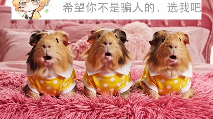 ขอบคุณที่น้อง “วะโตะริ เซ็นอิตสึ” ให้ความสนใจนะคะ