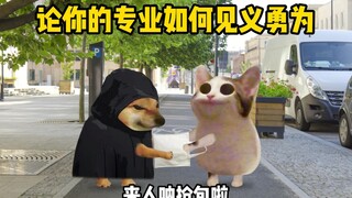 ماذا يمكنك أن تفعل مع تخصصك؟