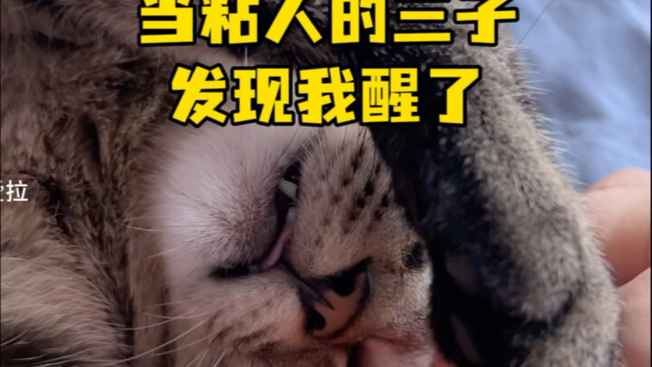 Khi cậu con trai bám dính phát hiện tôi đã dậy