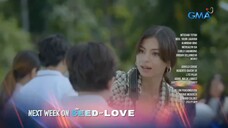 The Seed Of Love: (Week 12)