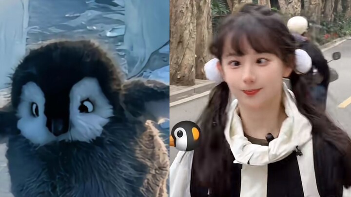 Suka bermain denganmu, rasanya seperti menggoda anak anjing.