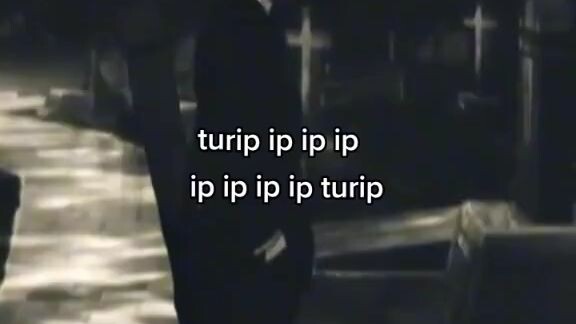 Tur ip ip ip sadsong😥