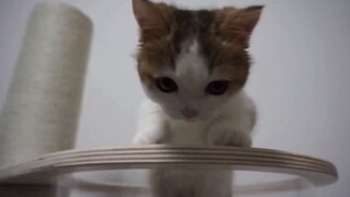 [บังบัง] ผู้ชายลูกผู้ชายต้องดู เข้ามาฮิตน่ารักๆ!