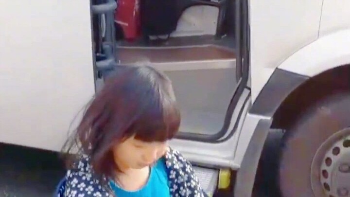 Con chó đón cô bé đi học mỗi ngày, giúp cô bé đeo cặp và chào hỏi.