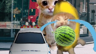 Banana Cat was detained for stealing watermelon!