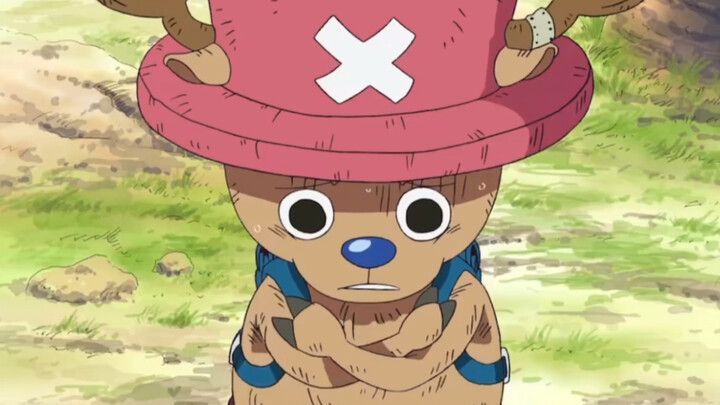 Chopper: I have been practicing medicine for many years, and I should also look at my own amnesia.