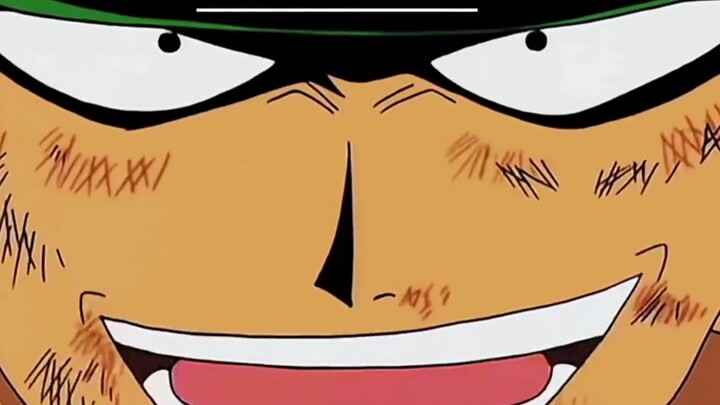 Except for Luffy—everything else was earned with their lives.