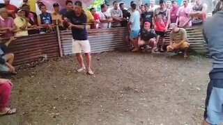 franky pangkoy hackfight win