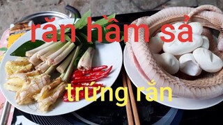 Rắn và trứng rắn.hầm sả rất ngon ngọt bổ dưỡng cho những ngày nắng nóng. Biển Nguyễn ngọc