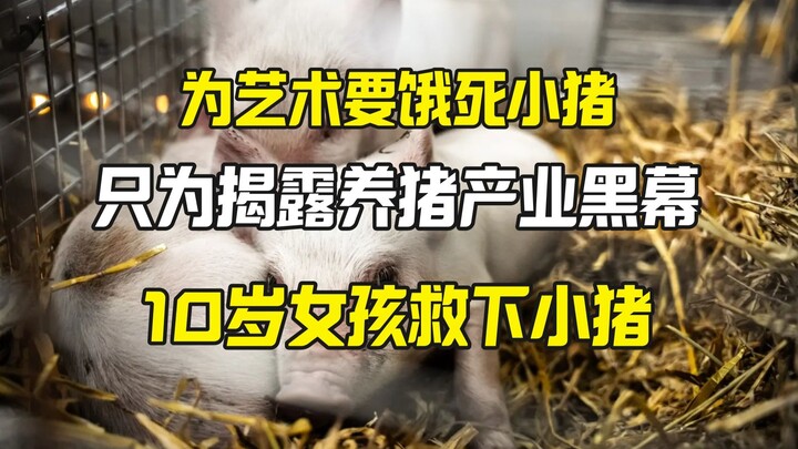 Artist starves piglets for art; 10-year-old girl saves three piglets