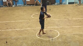 155k kalaban vs 9900 ang puti