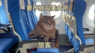 如何优雅的称呼空姐
