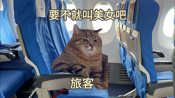 如何优雅的称呼空姐