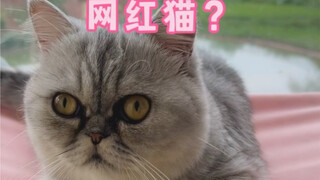 不许再说我家妈耶像奶奶猫了啊，不然妈耶哭了你来哄