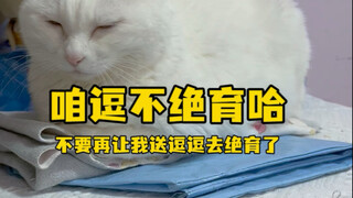 บ่อยครั้งที่มีคนแนะนำให้ฉันพาตู่ตู่ไปทำหมัน แม้ว่าหลายครั้งจะรู้ว่าทุกคนหวังดี แต่การเลี้ยงสัตว์เลี้