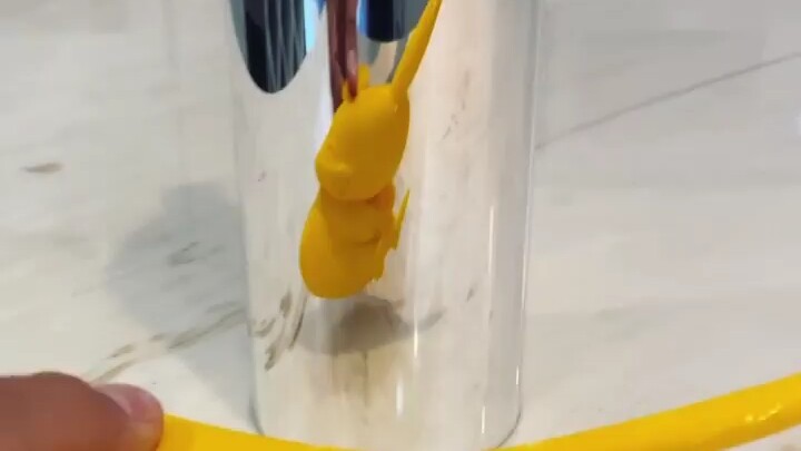 Can you guess it?