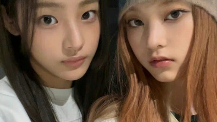 【Minlin】The alluring cat and her clingy little dog