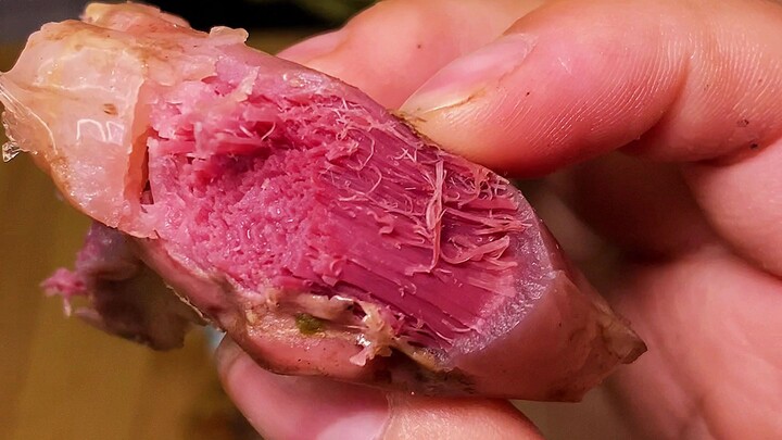 It’s not a good day for cold treats, so let’s go for more meat—beef tendon is the best! No arguments