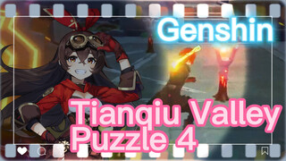 Tianqiu Valley Puzzle 4