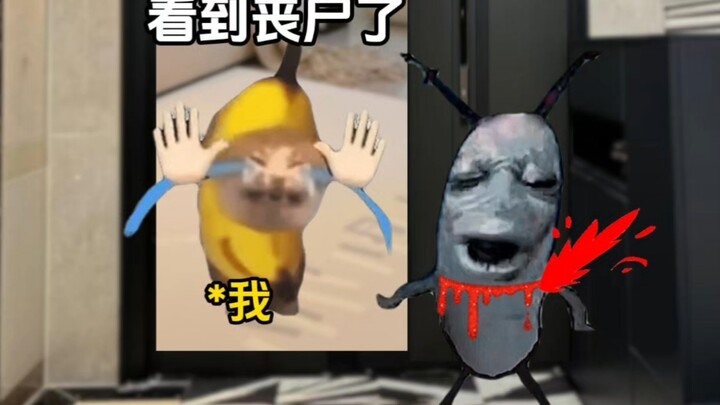 一觉醒来闺蜜变鬼蜜了？