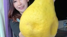 Jeruk raksasa …. Kaget juga pertama lihat kok jeruk besar amat , mirip lemon sih ya