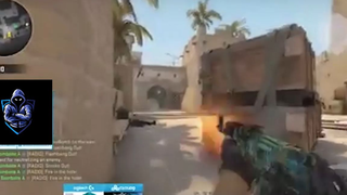 mùng highlight