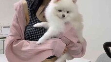 Puppy🐶🐶